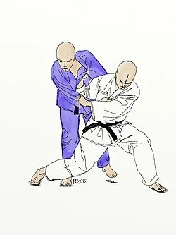 Tai-otoshi