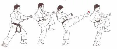 Mae-geri