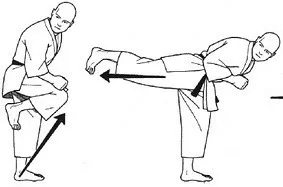 Ushiro-geri