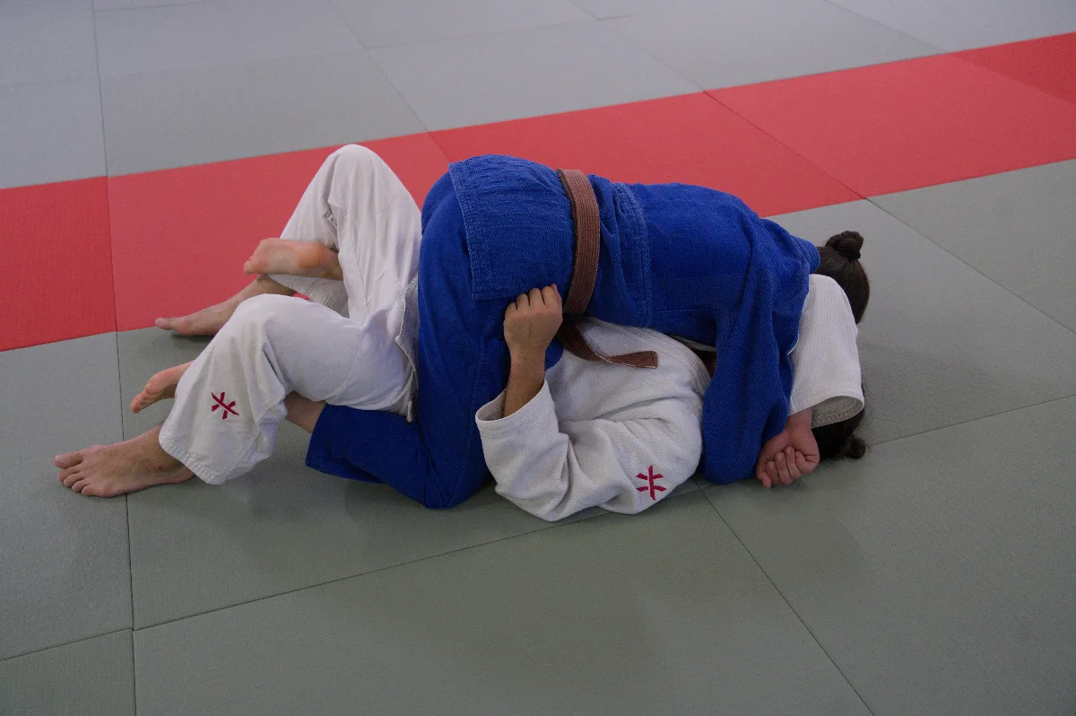 Tate-shiho-gatame