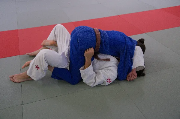 Tate-shiho-gatame