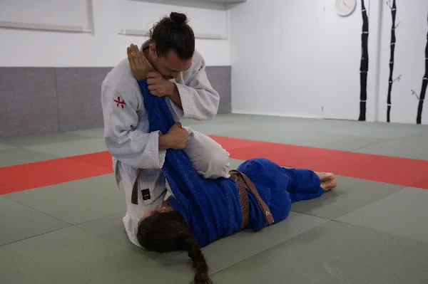 Ude-hishigi-ude-gatame