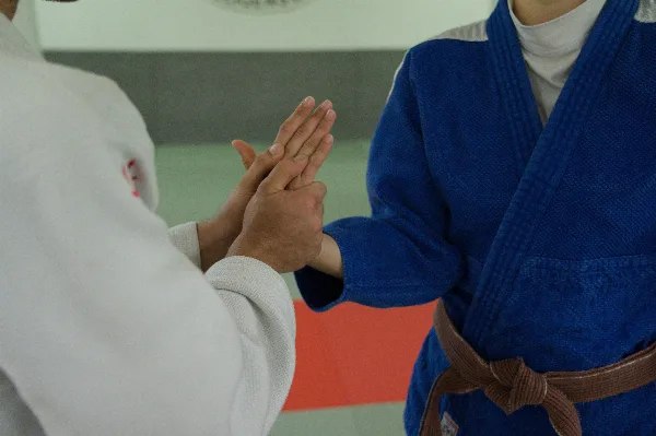Kote-gaeshi