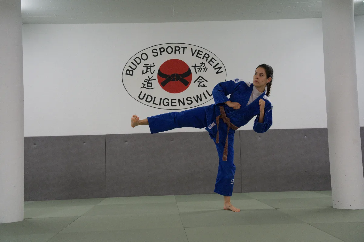 Yoko-geri