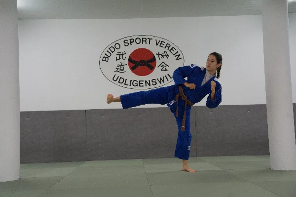 Yoko-geri