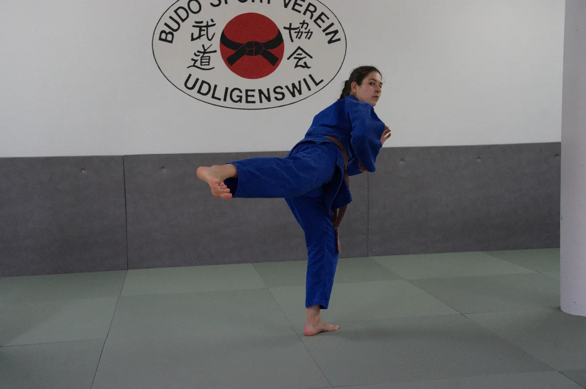 Ushiro-geri