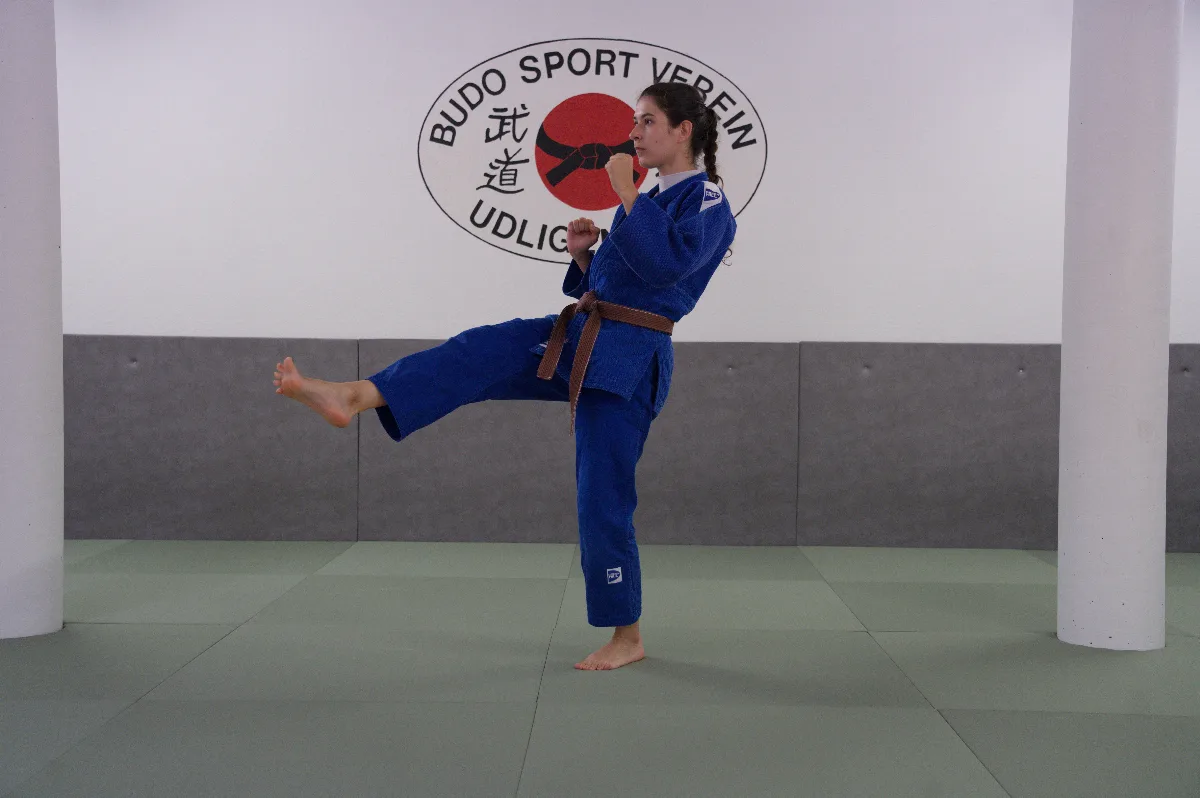 Mae-geri