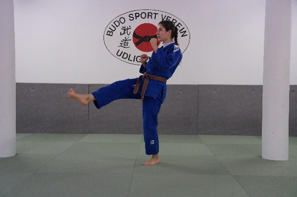 Mae-geri