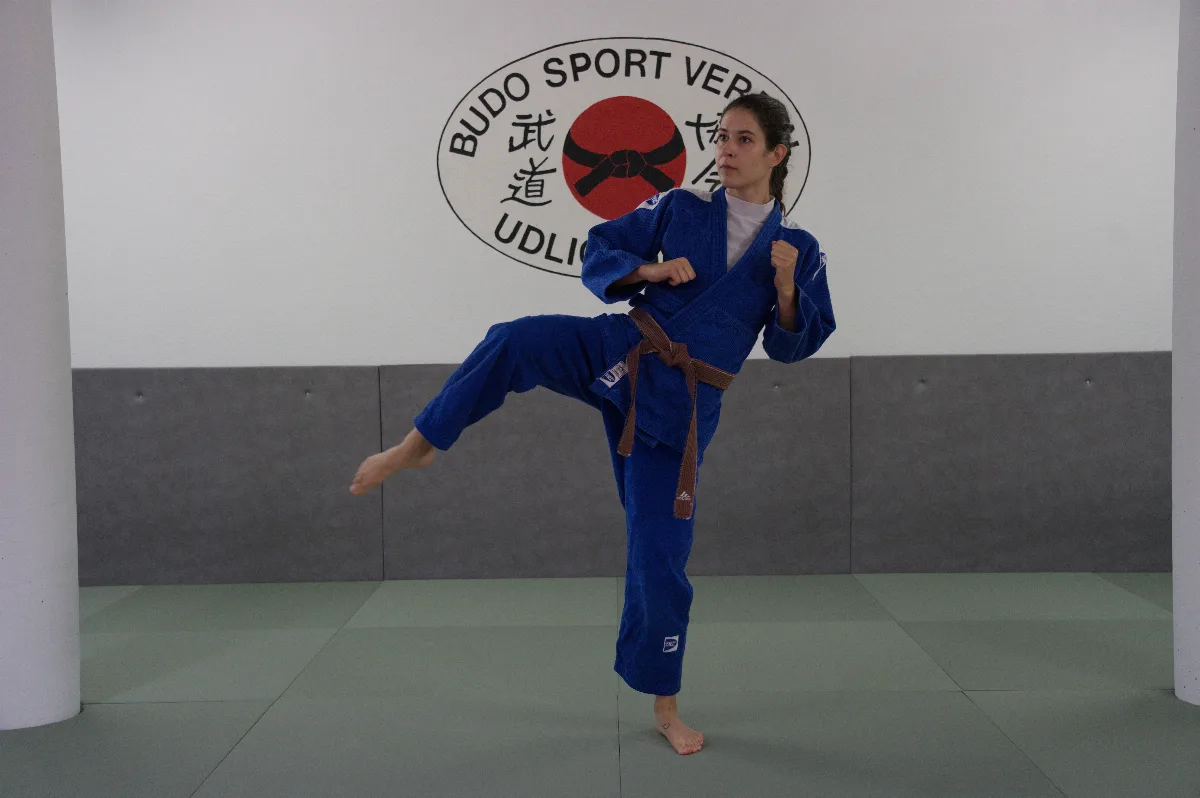 Mawashi-geri