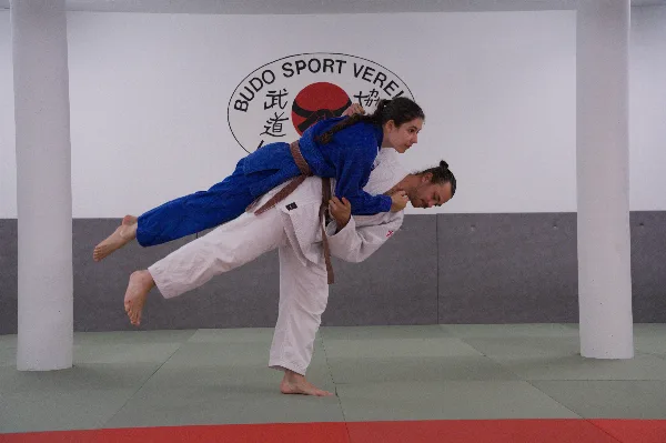 Harai-goshi